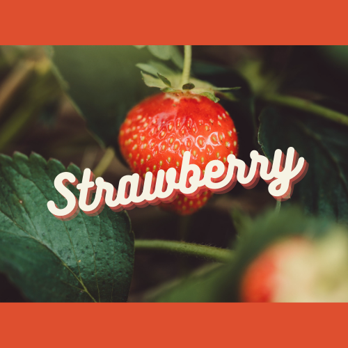 Strawberry